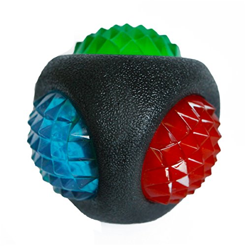 Rosewood Jolly Doggy – Manta y Hueso de Juguete de Goma para Perro, 13 cm