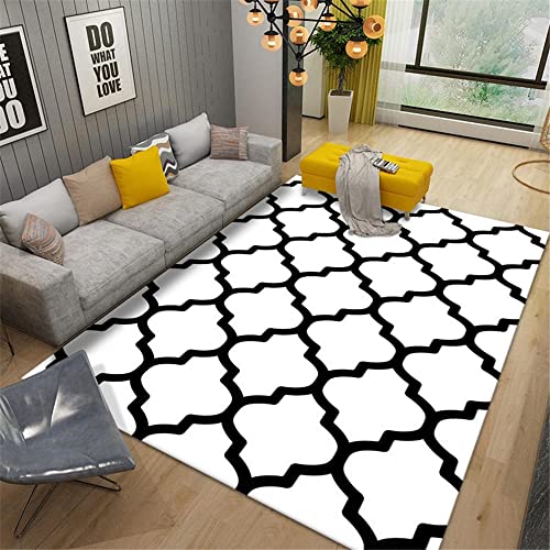 RUGMRZ Alfombras Online Baratas La Cocina del Dormitorio es Buena para cuidar la Alfombra de la Chimenea.-Blanco Negro_El 100X140CM Alfombra Antideslizante Usable alfombras 100X140CM/3ft 3''X4ft 7''