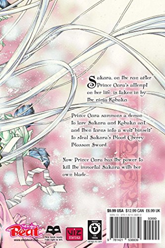 Sakura Hime: The Legend of Princess Sakura, Vol. 2