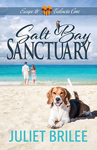 Salt Bay Sanctuary (Escape to Valencia Cove Book 6) (English Edition)