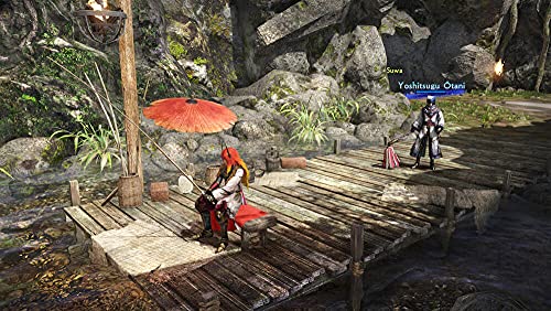 Samurai Warriors: Spirit of Sanada [Importación francesa]