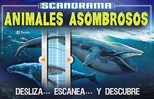 Scanorama. Animales asombrosos (Castellano - A Partir De 8 Años - Libros Didácticos - Otros Libros)
