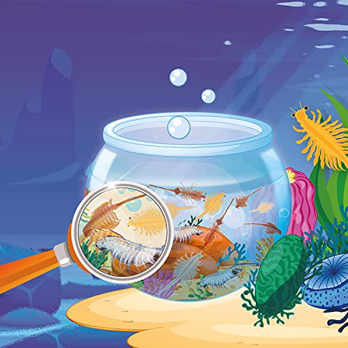 Science4you Artemias, Criaturas Jurasicas para Niños 6+ Años - Crea tu Ecosistema Acuatico con Dragones de Agua en Acuario para Niños, Set Ciencia para Niños con Triops, Juguete Educativo