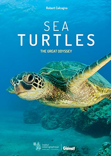 Sea Turtles : The Great Odyssey: La grande odyssée (Mer et nature)