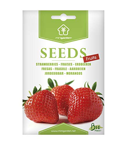 Semillas Ecológicas Minigarden, Selección FRUTAS: Fresas, Pimientos"Padron", Guisantes y Tomate"Cuor di bue"