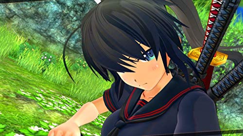 Senran Kagura Burst Re: Newal
