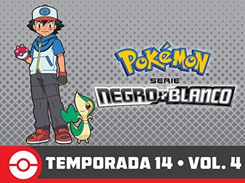 Serie Pokémon Negro y Blanco