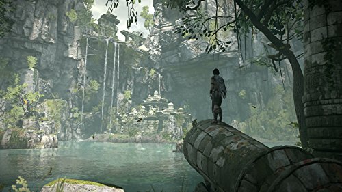 Shadow Of The Colossus (PS4)