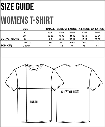 She-Ra Princess Of Power Women's T-Shirt (L)