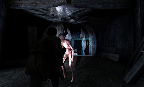 Silent Hill: Shattered Memories (PS2) [Importación inglesa]
