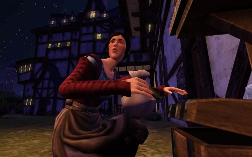 Sims Médiéval [Importación francesa]