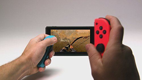 Skyrim - Nintendo Switch [Importación francesa]