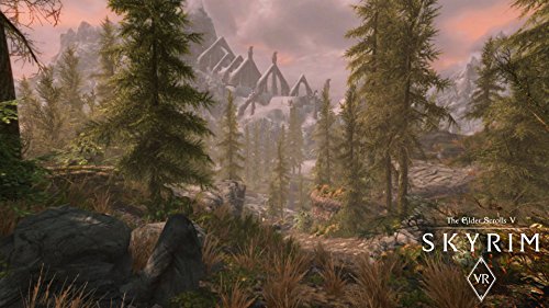 Skyrim - Virtual Reality Edition - PlayStation 4 [Importación alemana]
