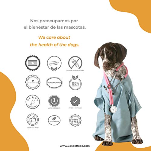 Snack Deshidratado para Perros - Bolsa de 1 kg - Tiras de Piel de Vacuno para Perros - 15cm - Sabor Bacon - 100% Vaca - Sin OGM - Encías Saludables - Fabricado en España - GESPETFOOD
