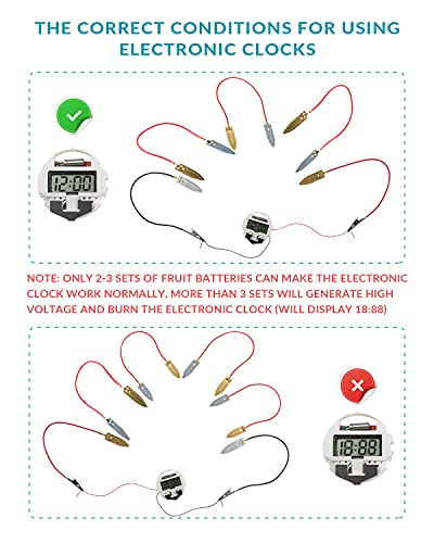 Sntieecr Experimentos con Frutas Juguetes Patata Kit de Ciencia Generador de Electricidad Juguete Educativo Kit de Juguetes de Ciencia Experimento de Laboratorio de Bricolaje para Niños