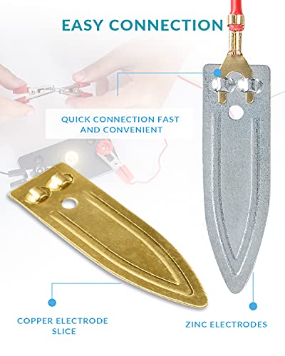 Sntieecr Experimentos con Frutas Juguetes Patata Kit de Ciencia Generador de Electricidad Juguete Educativo Kit de Juguetes de Ciencia Experimento de Laboratorio de Bricolaje para Niños