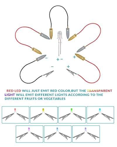 Sntieecr Experimentos con Frutas Juguetes Patata Kit de Ciencia Generador de Electricidad Juguete Educativo Kit de Juguetes de Ciencia Experimento de Laboratorio de Bricolaje para Niños