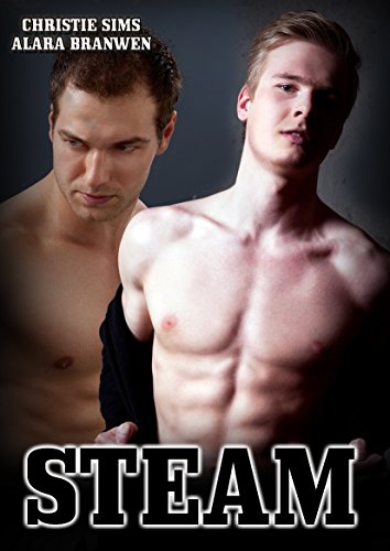 Steam (Gay Weretiger Romantic Erotica) (English Edition)