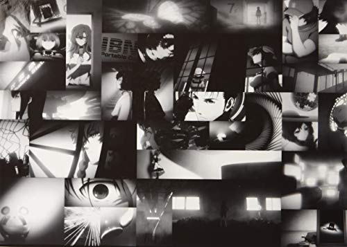 Steins; Gate Elite - Limited Edition [Importación francesa]