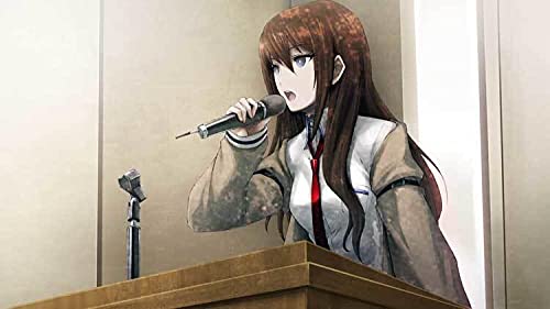 Steins Gate [Importación Francesa]