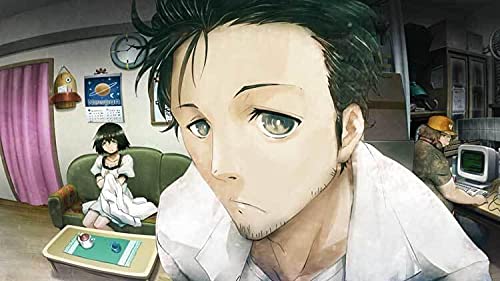 Steins Gate [Importación Francesa]