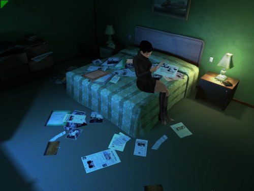 Still Life 2 (PC DVD) [Importación inglesa]