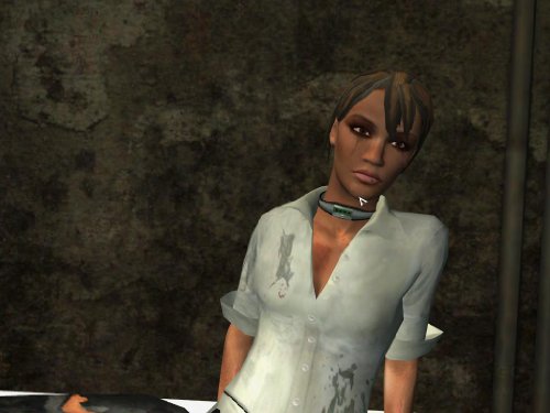 Still Life 2 (PC DVD) [Importación inglesa]