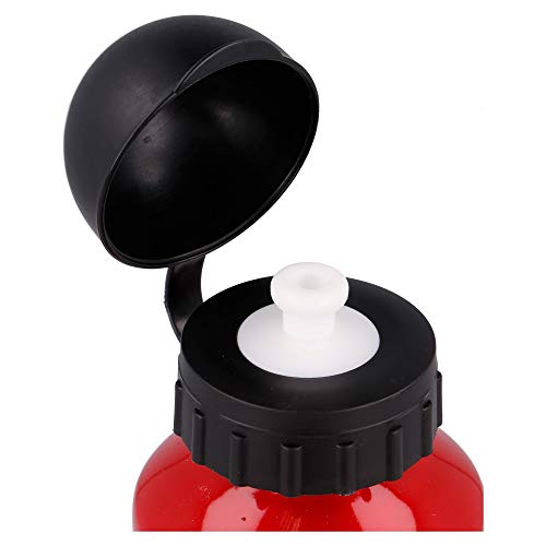 Stor Botella Aluminio 400 ML | Minecraft