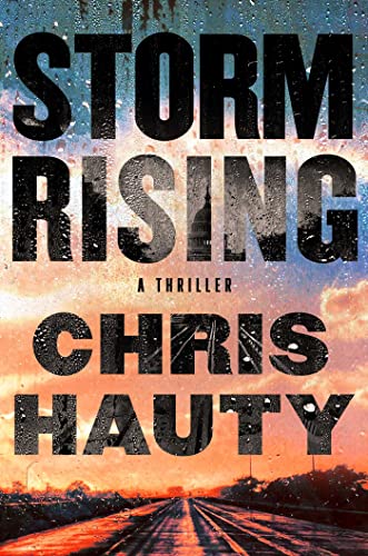 Storm Rising: A Thriller (A Hayley Chill Thriller Book 3) (English Edition)