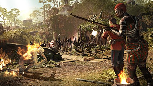 Strange Brigade Essentials - PlayStation 4 [Importación alemana]