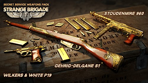 Strange Brigade [Importación francesa]