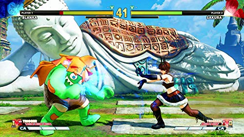 Street Fighter V Champion Edition - PlayStation 4 [Importación inglesa]