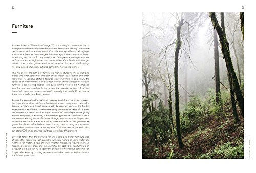 Sustainable Home: Practical projects, tips and advice for maintaining a more eco-friendly household (Sustainable Living Series)