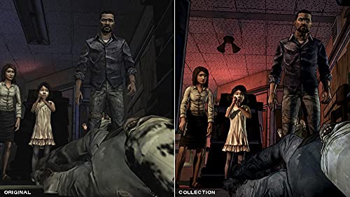 Telltale's Series - The Walking Dead Collection - PlayStation 4 [Importación francesa]