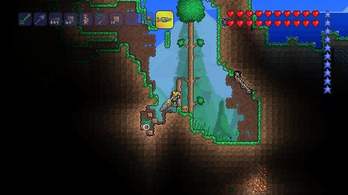 Terraria [Importación Inglesa]