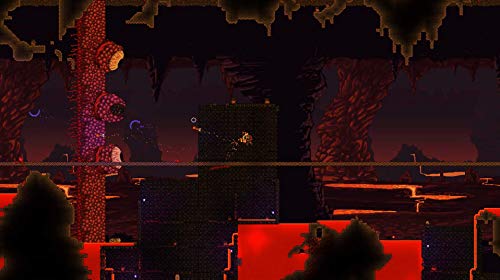 Terraria - Nintendo Switch [Importación francesa]