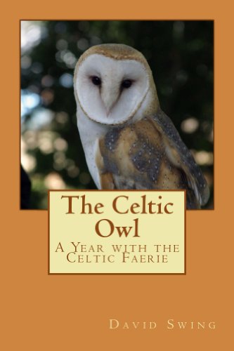 The Celtic Owl: A Year with the Celtic Faerie (English Edition)