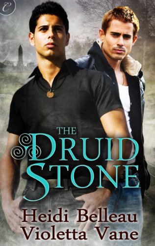 The Druid Stone (Layers of the Otherworld Book 1) (English Edition)
