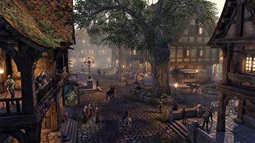 The Elder Scrolls Online Collection: Blackwood [PC] [Importación alemana]