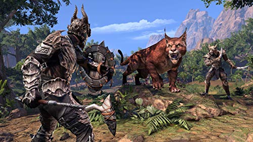 The Elder Scrolls Online - Elsweyr - PlayStation 4 [Importación italiana]