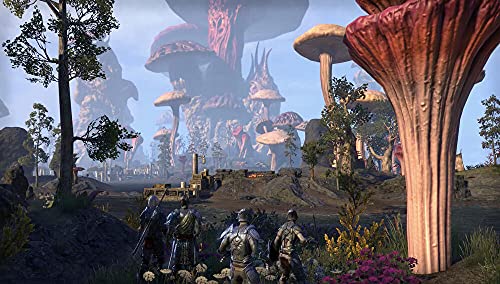 The Elder Scrolls Online : Morrowind [Importación francesa]