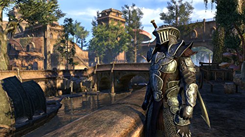 The Elder Scrolls Online: Morrowind - PlayStation 4 [Importación alemana]