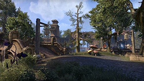 The Elder Scrolls Online: Morrowind - Xbox One [Importación inglesa]