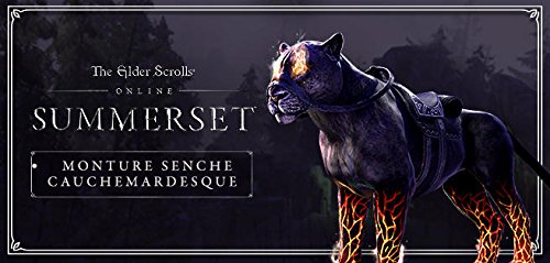 The Elder Scrolls online: Summerset - PlayStation 4 [Importación francesa]