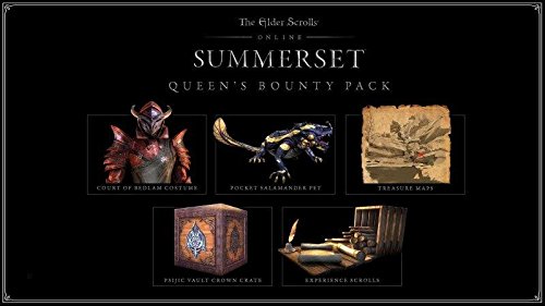 The Elder Scrolls online: Summerset - PlayStation 4 [Importación francesa]