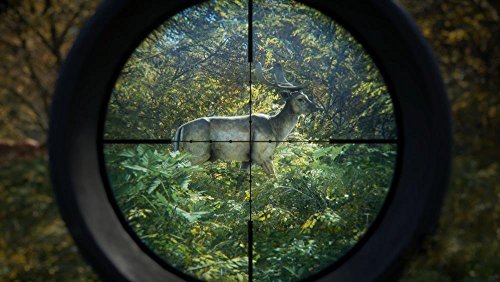 The Hunter: Call of The Wild - Version Française - Xbox One [Importación francesa]