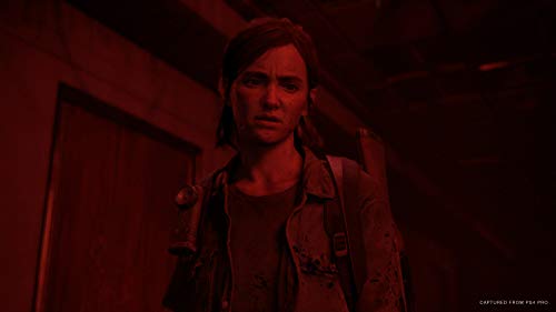 The Last of Us Part II - PlayStation 4 [Importación inglesa]