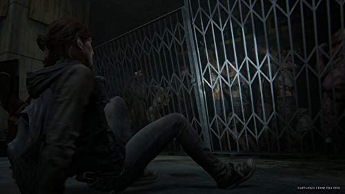 The Last of Us Part II - PlayStation 4 [Importación inglesa]