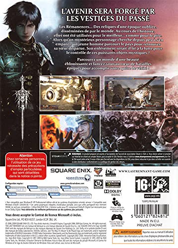 The last remnant [Importación Francesa]