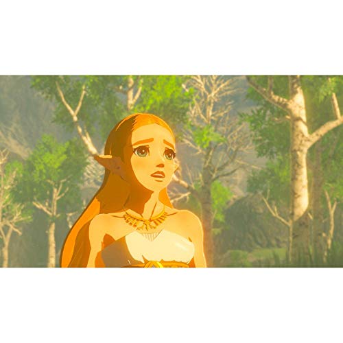 The Legend Of Zelda: Breath Of The Wild The Legend of Zelda: Breath of the Wild
